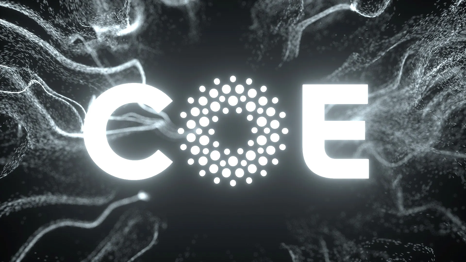 Anteprima del progetto COE