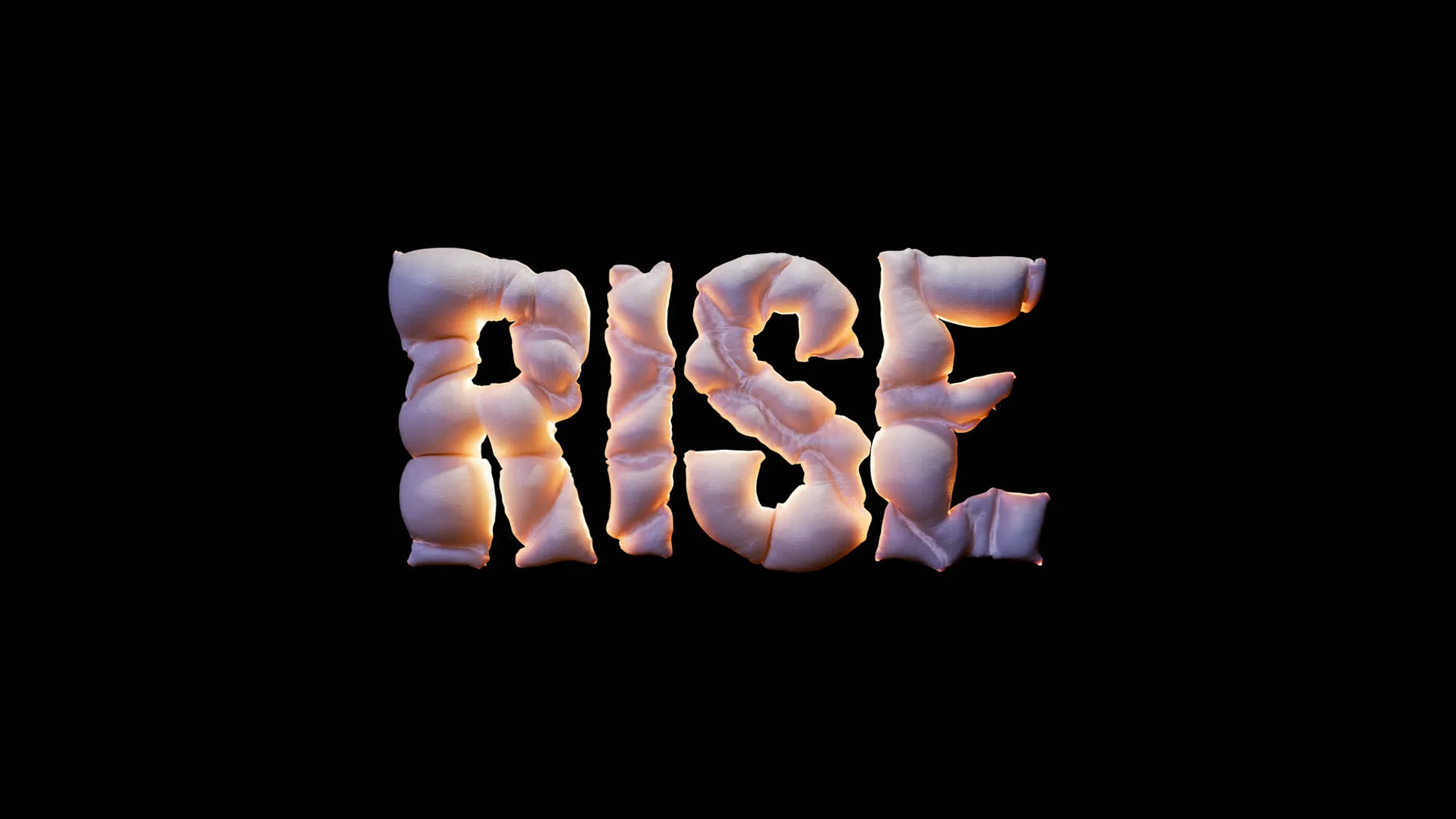 Anteprima del progetto RISE